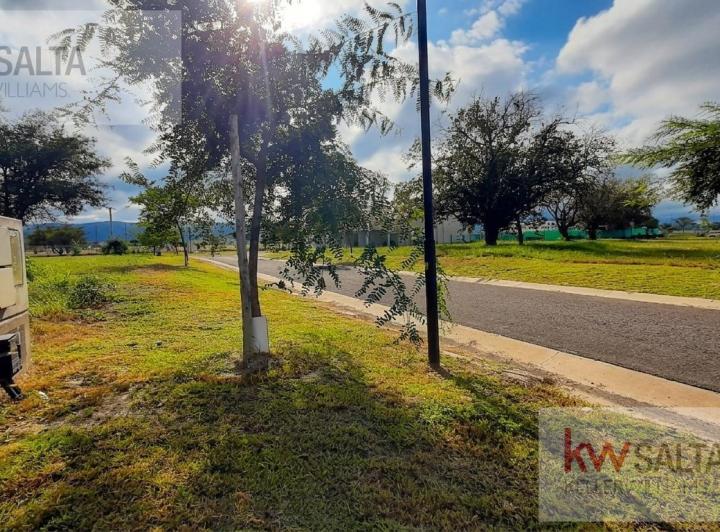Terreno · 720m²
