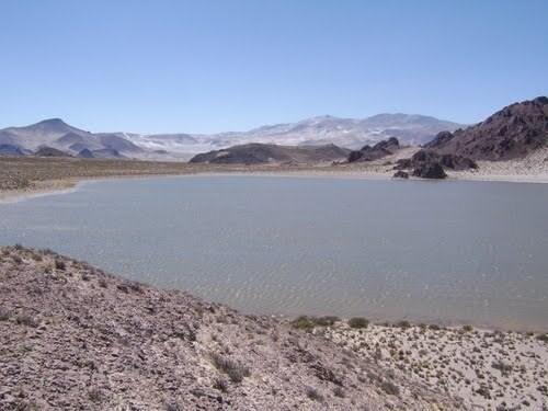 Campo · 35000m²