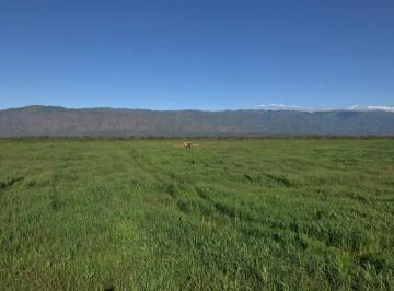 Campo · 8730m² · Campo en Venta en La Rioja