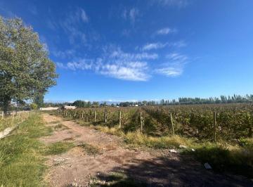 Terreno , Lunlunta · Oportunidad Imperdible de Inversión en Lunlunta - Maipu