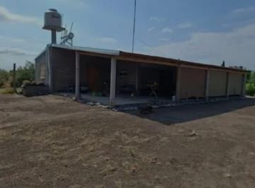 Campo · 200m² · 4 Ambientes · Chacra en Venta - 2 Dorm. 3 Baños - San Rafael