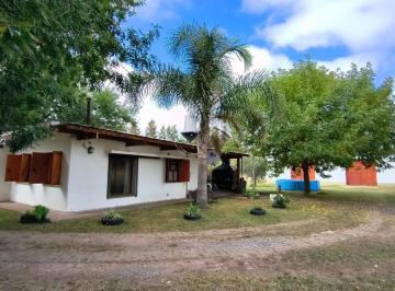 Campo · 280m² · 4 Ambientes · Campo en Venta - 73.000 m² - La Plata