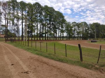 Campo · 100000m² · Campo en Venta en Pilar