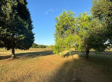 Terreno · 1500m² · Terreno en Venta - 1.500 m² - Exaltación de La Cruz