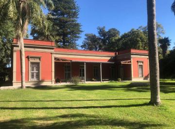 Campo , Lezama · Campo en Venta – 50 Ha en Monasterio, Sobre Ruta 2. con Casco.