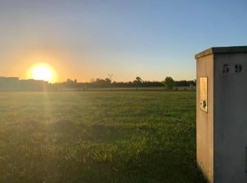 Terreno · 680m² · Terreno en Venta - 680,38 m² - Greenville Polo