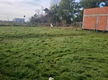 Terreno · 600m² · Terreno en Venta - 600 m² - Villa Parque Sicardi