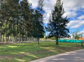 Terreno , Pilar · Venta Lote – San Eduardo, Pilar del Este – Oportunidad Real / Permuta