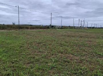 Terreno , Córdoba · Lote en Venta en Docta – 250 m² con Orientación Norte