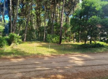 Terreno , Pinamar · Dueño Vende Terreno Cr Pinamar