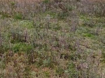 Terreno , Villa Yacanto · 1/2 Hectárea en Yacanto de Calamuchita