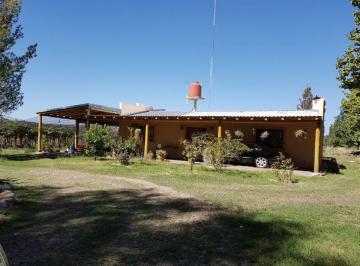 Campo , San Rafael · Finca en Venta con Casa Moderna y Producción Agrícola – 9,8 Ha