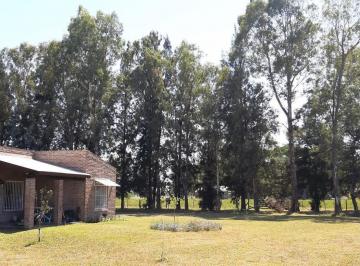 Terreno · 562m² · Terreno en Venta - 51768 m² - Mercedes