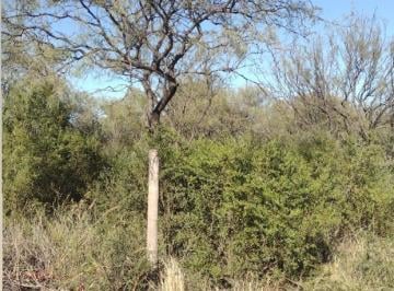 Terreno , San Luis · Remato Terreno Escucho Ofertas de Contado