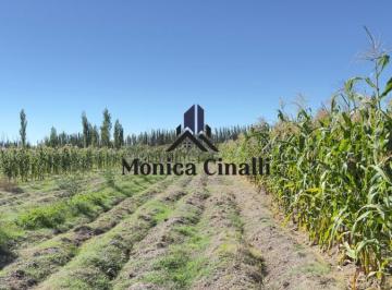 Terreno · Terreno en Villa Regina