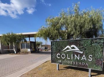 Terreno · 455m² · Terreno en Colinas de La Deseada