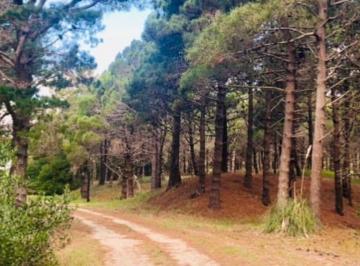 Terreno · 1170m² · Terreno en Punta Medanos