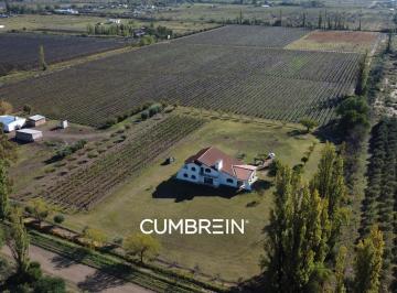 Casa · 100000m² · 2 Cocheras · Residencia Premium y Finca Boutique en Venta | Las Paredes, San Rafael | Cumbrein