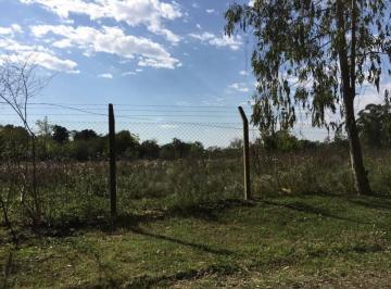 Terreno · 6887m² · Excelente Terreno en Venta en Pilar de 6887 m²