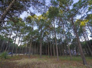 Terreno · 854m² · Lote en Venta Pinamar Norte