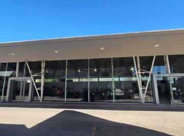 Bodega-Galpón · 539m² · 10 Cocheras · Galpon en Alquiler Sobre Rodriguez Peña