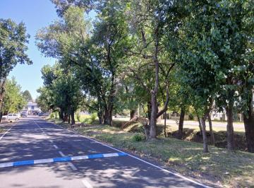 Terreno · 252m² · Terreno en de Vicenzo Grande, Excelente Ubicación Venta
