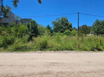 Terreno · 1200m² · Terreno - Arturo Segui