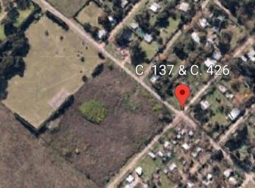 Campo · 21535m² · Fracción en Venta en Arturo Seguí