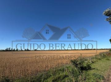 Campo · 1480000ha · Campo en Carlos Keen