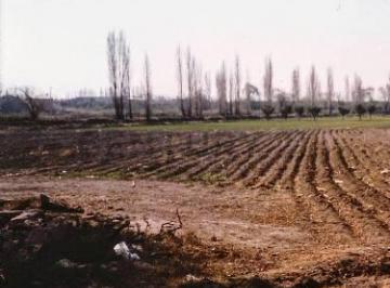 Local comercial · 8m² · Lote en Venta