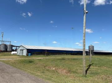 Campo · 330000ha · Campo en General Belgrano