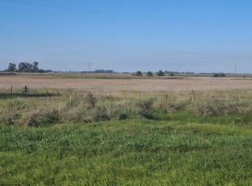 Campo · 50000ha · Campo en Suipacha