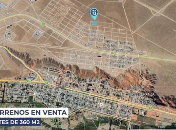 Terreno · 360m² · Terreno en Añelo a m de Ruta 17