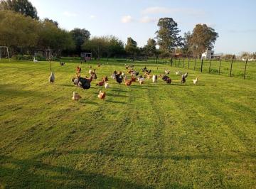 Terreno , Chascomús · Venta de Parcela Chascomús