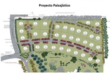 Terreno · 692m² · Venta Lote Rumenco Sector Los Olivos