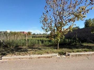 Terreno , Los Corralitos · Gisela Zumer - Servicios in Mobiliarios - Vende: