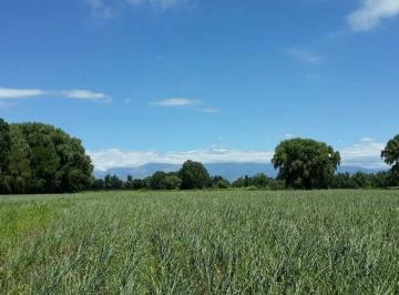 Campo , Colonia Las Rosas · En Venta Vende Finca de 98.3 Ha en Colonia Las Rosas - Tunuyán