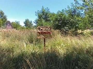 Terreno , Santa Teresita · Lote Baldio Santa Teresita