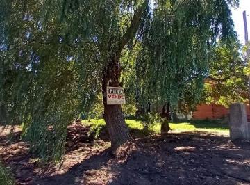 Terreno , Santa Teresita · Lote Baldio Santa Teresita