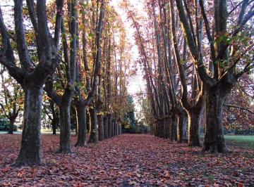 Terreno · 1200m² · Terreno/lote Venta en Azahares del Parana 1200 m²