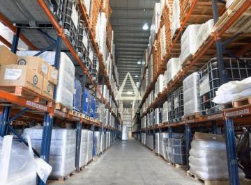Bodega-Galpón · 11000m² · Galpón en Alquiler o Venta en Zarate