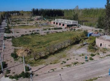 Terreno , Centenario · Terreno - Centenario