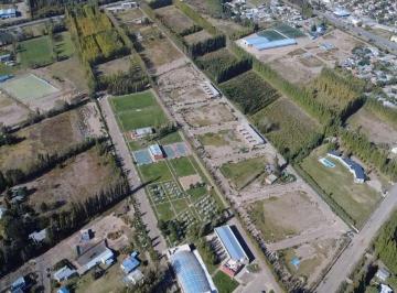 Terreno , Centenario · Terreno - Centenario