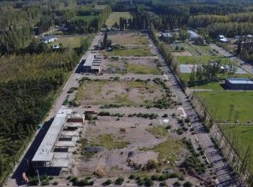 Terreno , Centenario · Terreno - Centenario