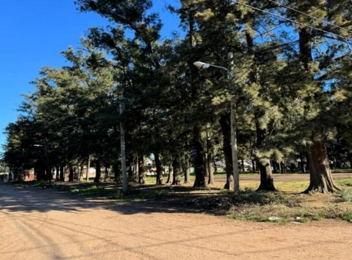 Terreno · 360m²