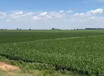Foto · Campo en Venta Cordoba Villa Maria