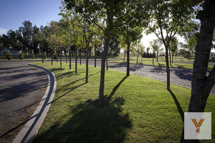 Terreno · 1372m²