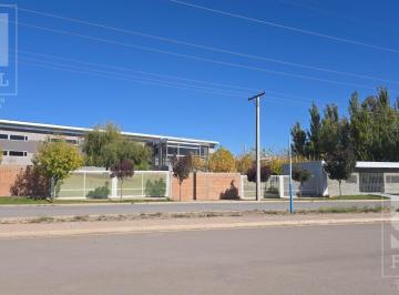 Bodega-Galpón · 2311m² · Galpón Nave Industrial en Centenario, de 2.311 m² con Oficinas, Sobre Lote de 7.560 m²