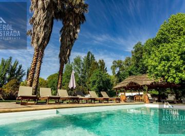 Hotel · 770m² · 10 Ambientes · Casona en Venta - 5 Dorm. - Chacras de Coria - Mendoza