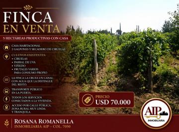 Campo · Finca - San Rafael
